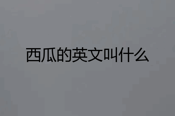 西瓜的英文叫什么