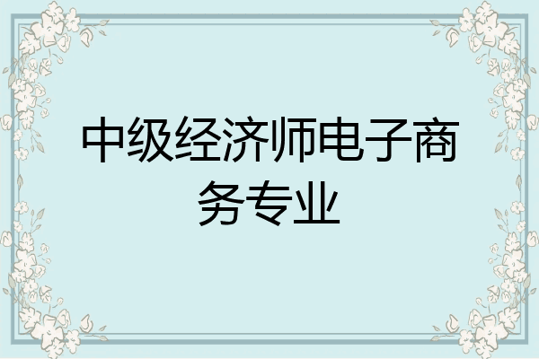 中级经济师电子商务专业