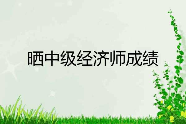 晒中级经济师成绩