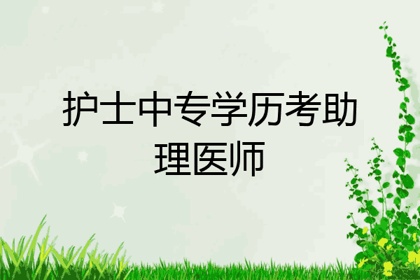 护士中专学历考助理医师