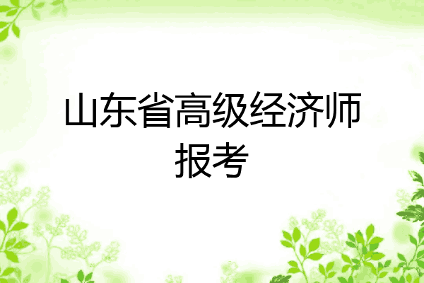 山东省高级经济师报考