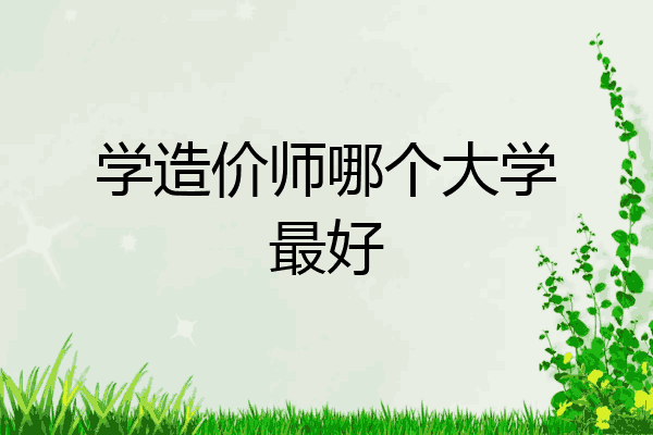 学造价师哪个大学最好