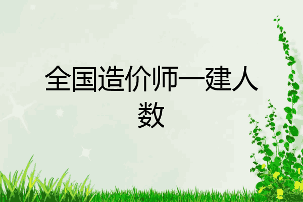 全国造价师一建人数