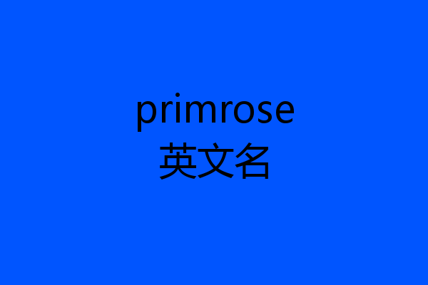 primrose英文名