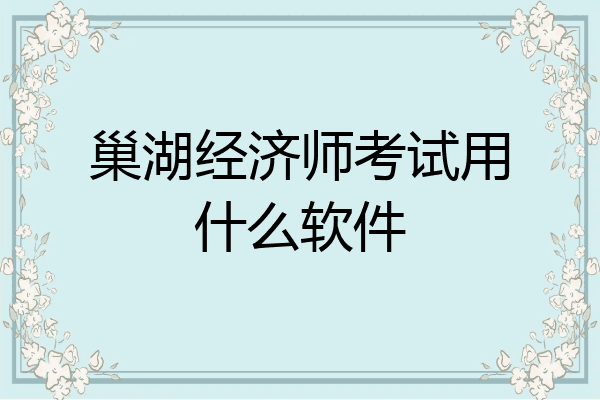 巢湖经济师考试用什么软件