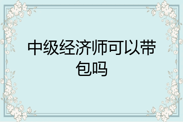 中级经济师可以带包吗
