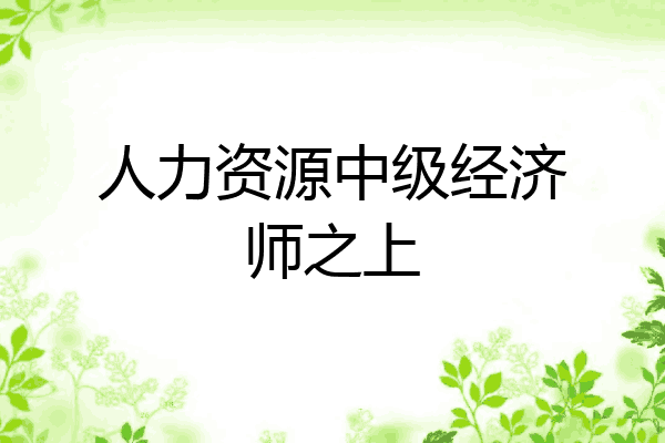 人力资源中级经济师之上