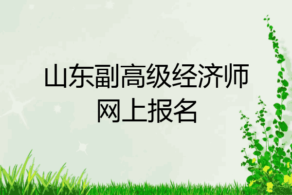 山东副高级经济师网上报名