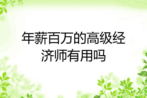 年薪百万的高级经济师有用吗