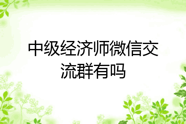 中级经济师微信交流群有吗