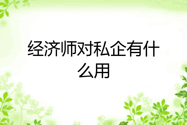 经济师对私企有什么用
