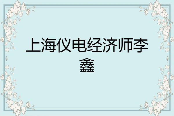 上海仪电经济师李鑫