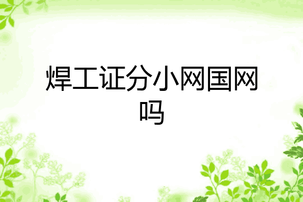焊工证分小网国网吗