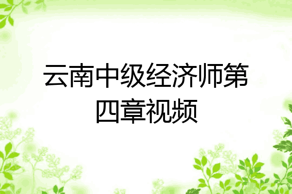 云南中级经济师第四章视频