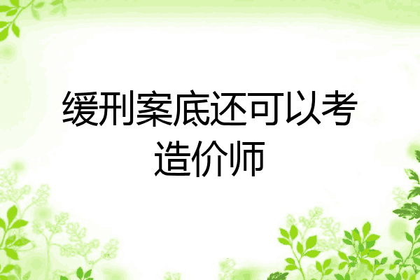 缓刑案底还可以考造价师