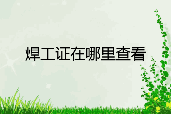 焊工证在哪里查看