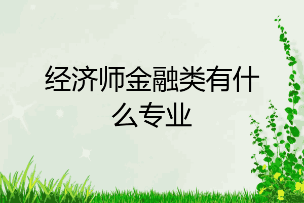 经济师金融类有什么专业