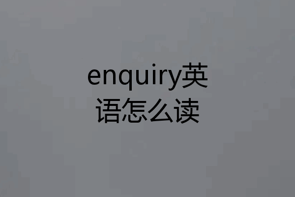 enquiry英语怎么读