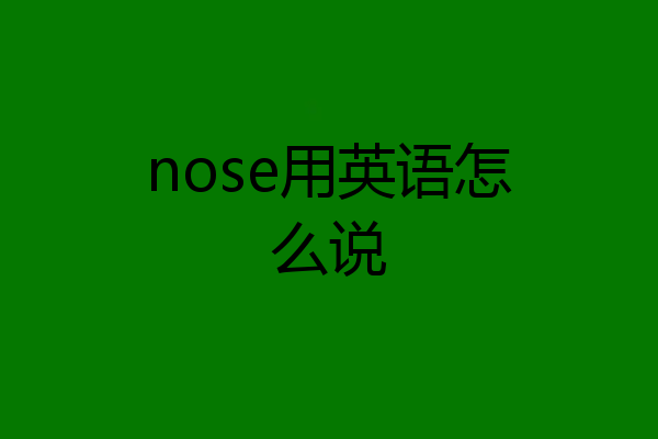 nose用英语怎么说