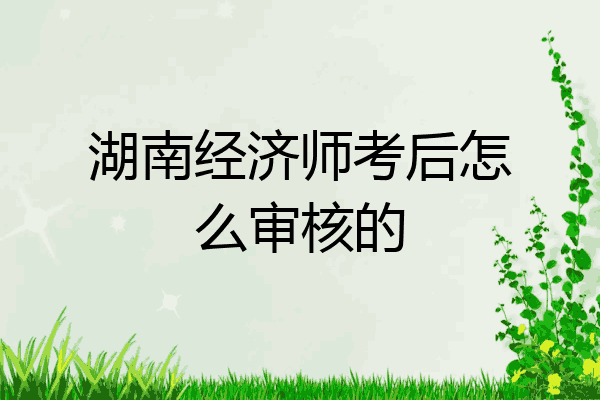 湖南经济师考后怎么审核的