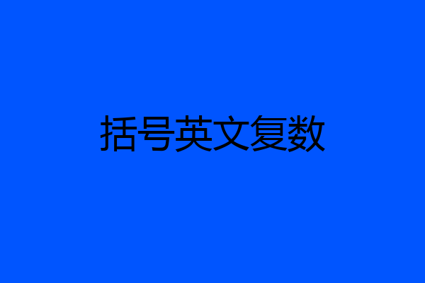 括号英文复数