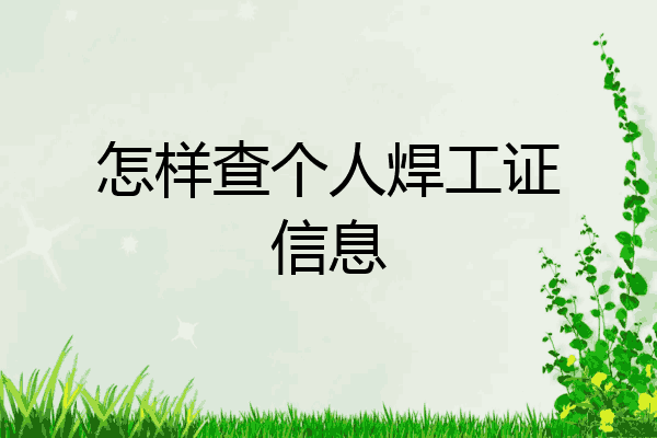 怎样查个人焊工证信息