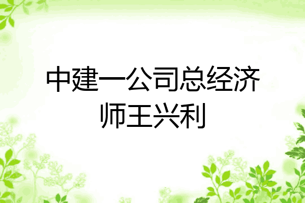中建一公司总经济师王兴利