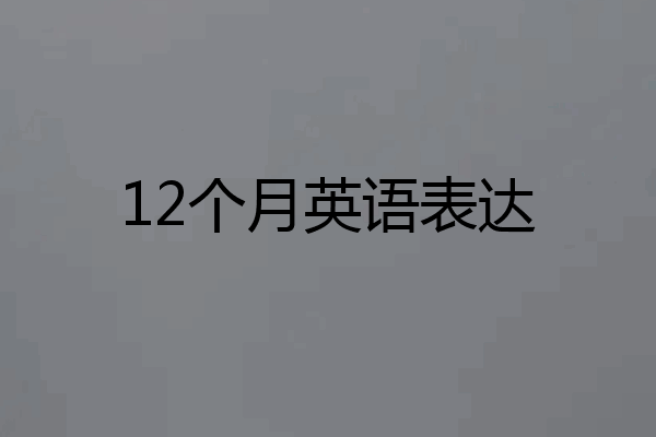 12个月英语表达