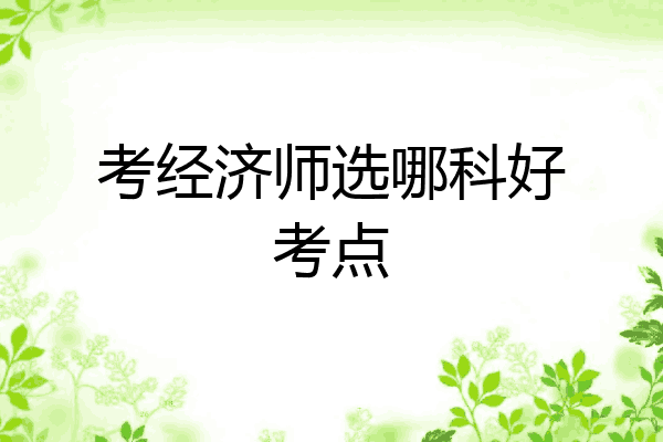 考经济师选哪科好考点