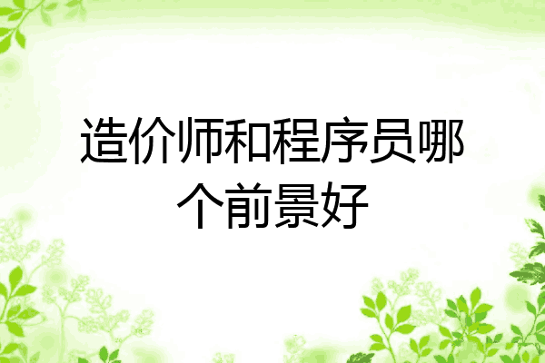 造价师和程序员哪个前景好