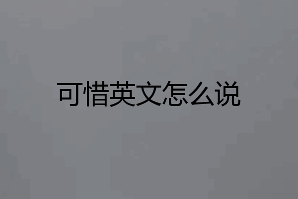 可惜英文怎么说