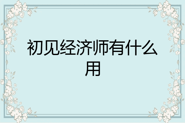 初见经济师有什么用