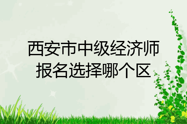 西安市中级经济师报名选择哪个区