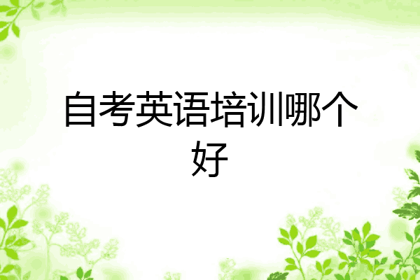自考英语培训哪个好