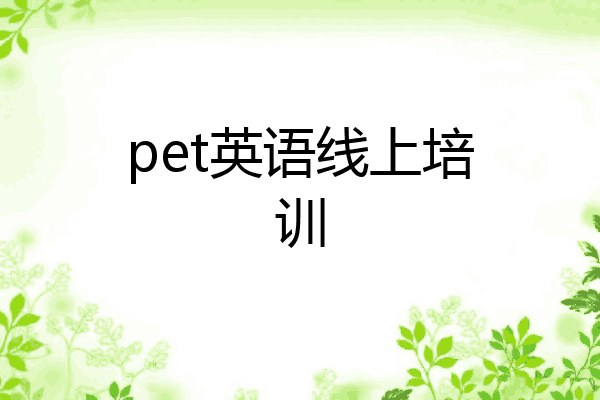 pet英语线上培训
