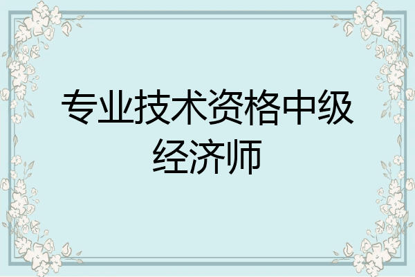 专业技术资格中级经济师