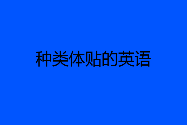 种类体贴的英语