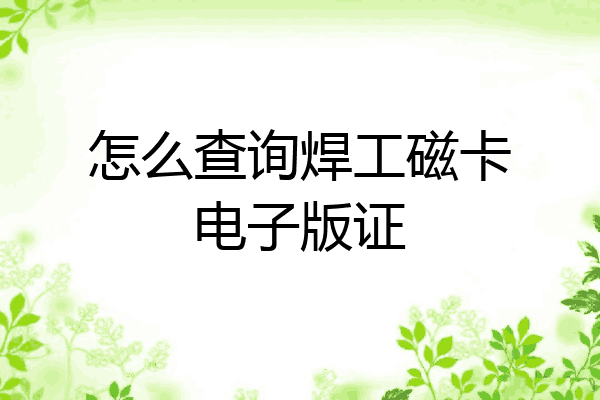 怎么查询焊工磁卡电子版证