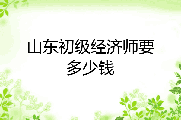 山东初级经济师要多少钱