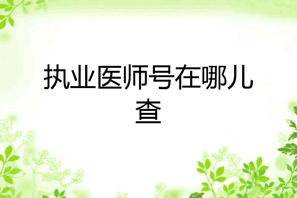 执业医师号在哪儿查