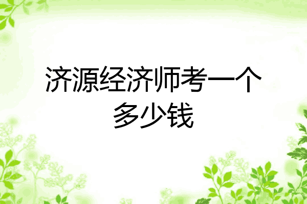 济源经济师考一个多少钱