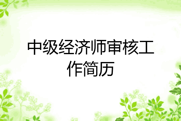 中级经济师审核工作简历