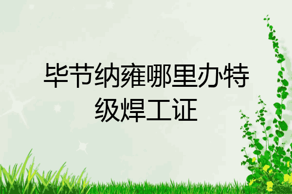 毕节纳雍哪里办特级焊工证
