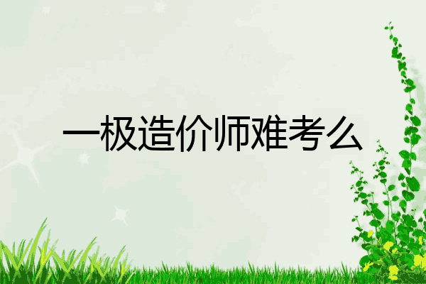 一极造价师难考么