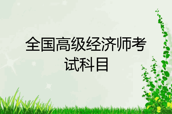 全国高级经济师考试科目