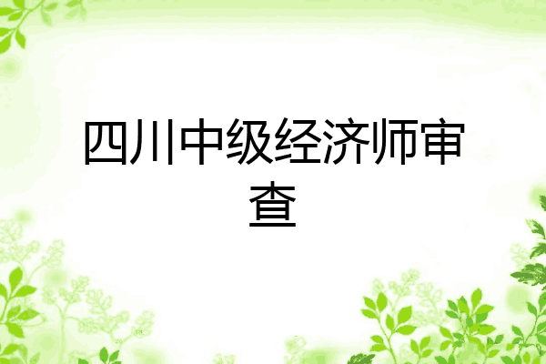 四川中级经济师审查