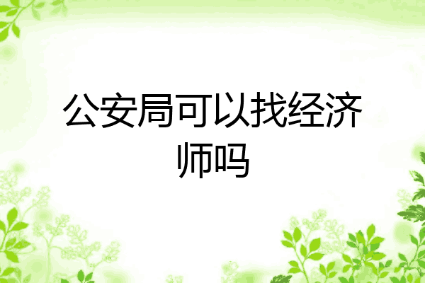 公安局可以找经济师吗