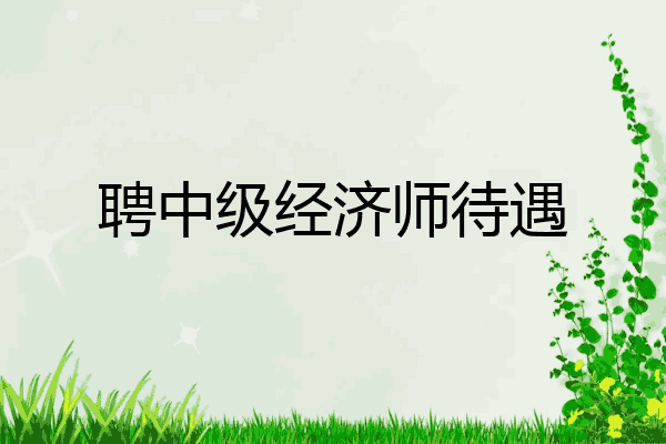 聘中级经济师待遇