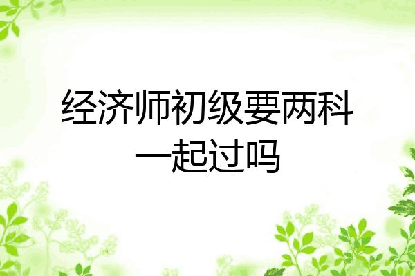 经济师初级要两科一起过吗