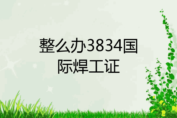 整么办3834国际焊工证